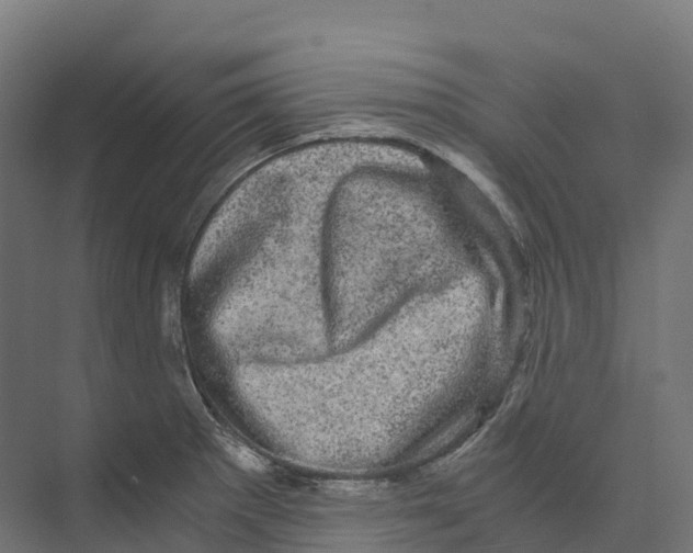 X0000073981281200609181707