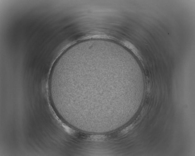 X0000073981282200609181707