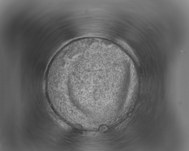 X0000073981284200609181707