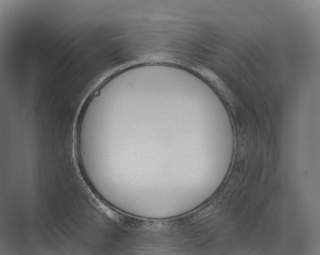 X0000073981286200609181707