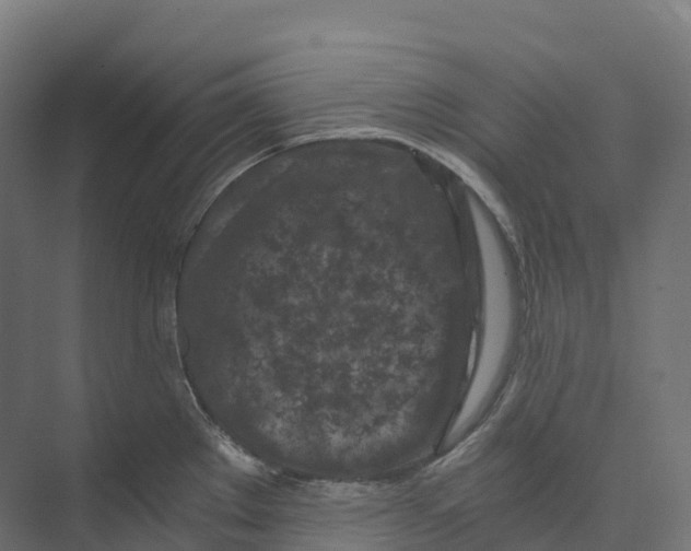 X0000073981289200609181707