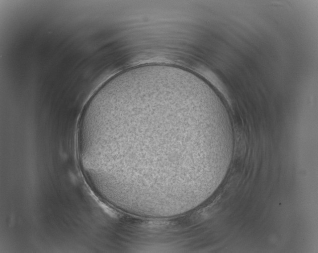 X0000073981290200609181707