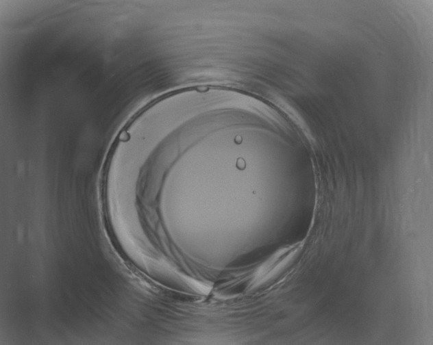 X0000073981291200609181707