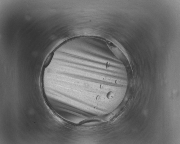 X0000073981293200609181707