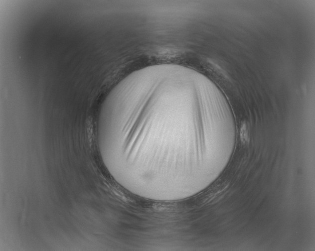 X0000073981299200609181706