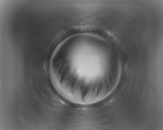 X0000073981300200609181706