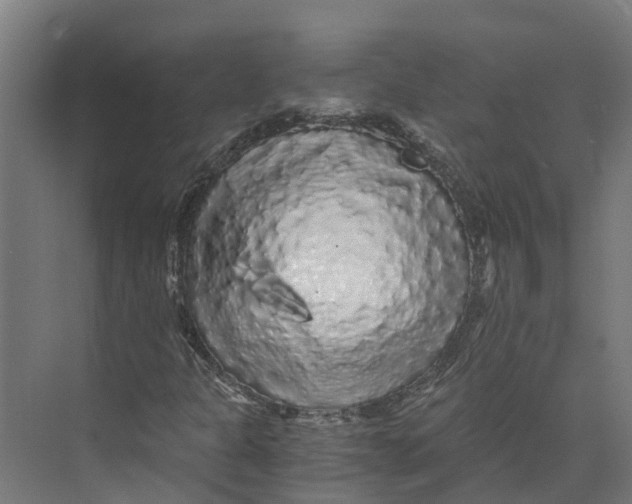 X0000073981301200609181706