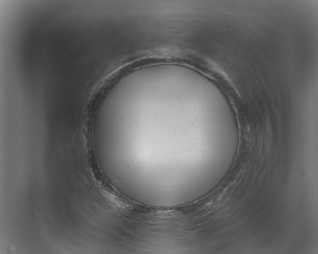 X0000073981304200609181706