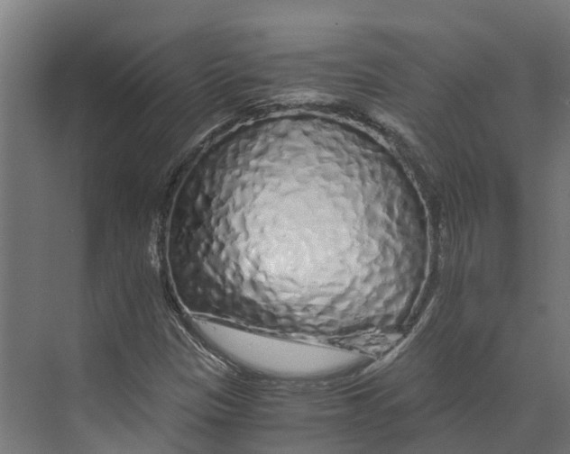 X0000073981305200609181706