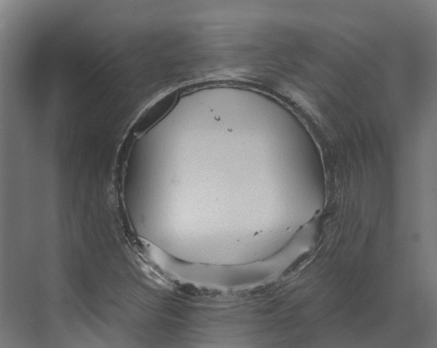 X0000073981308200609181706