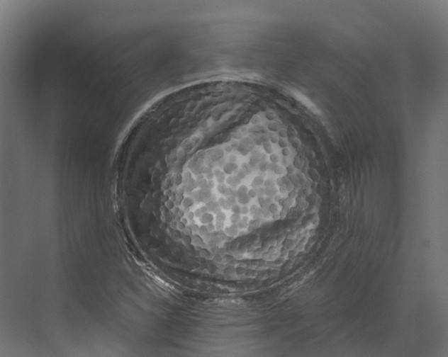 X0000073981310200609181706