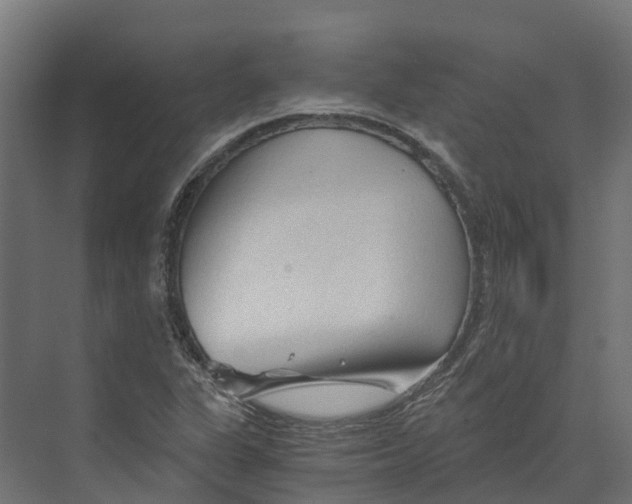 X0000073981311200609181706