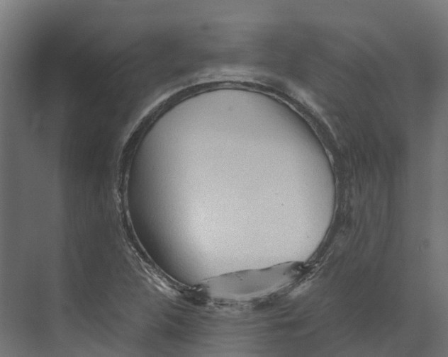 X0000073981312200609181706