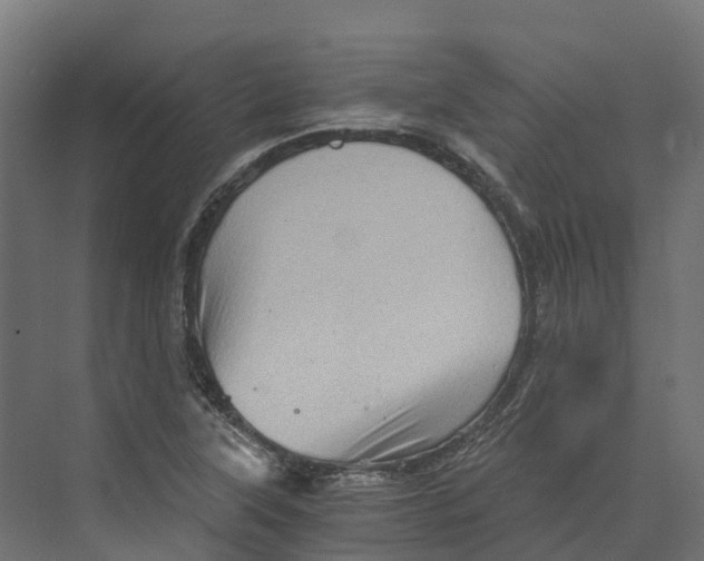 X0000073981315200609181706