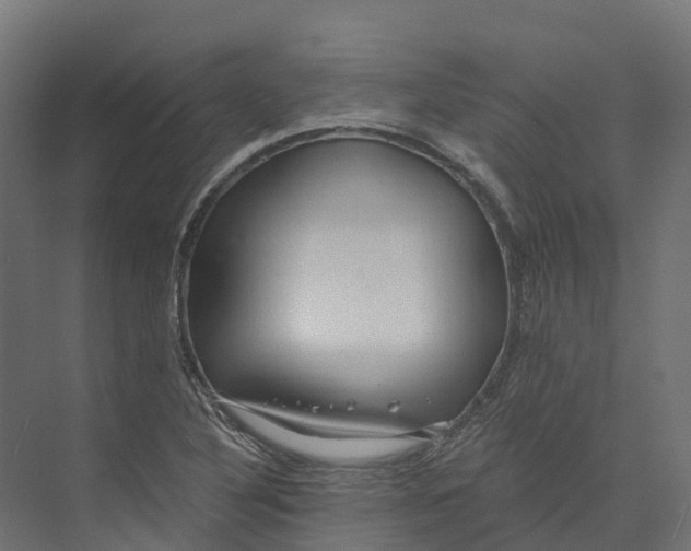 X0000073981316200609181706