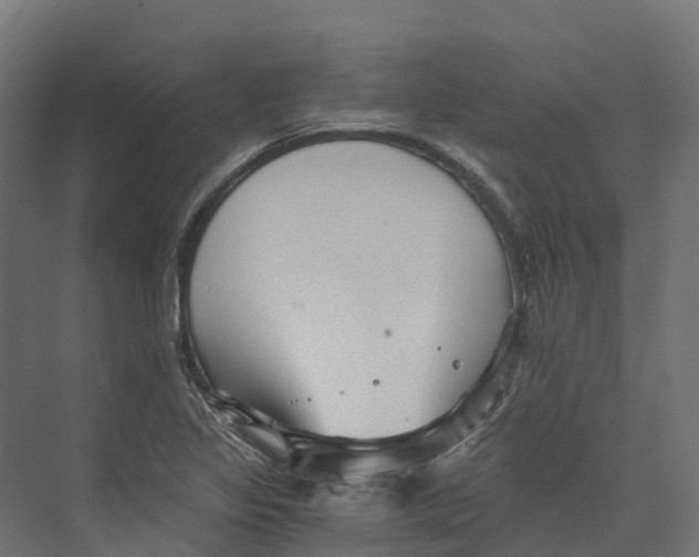 X0000073981317200609181706