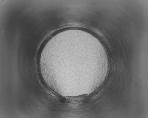 X0000073981318200609181706