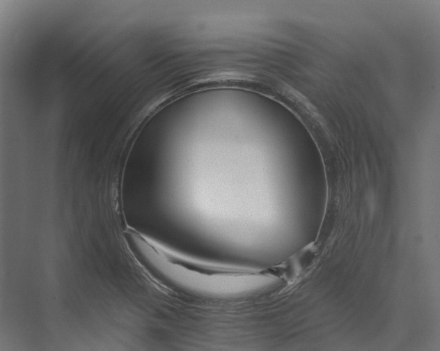 X0000073981321200609181706