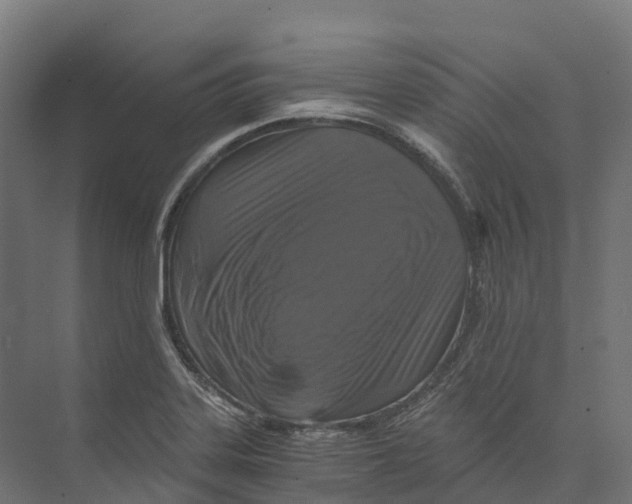 X0000073981323200609181706