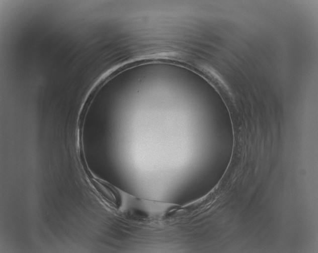 X0000073981324200609181706