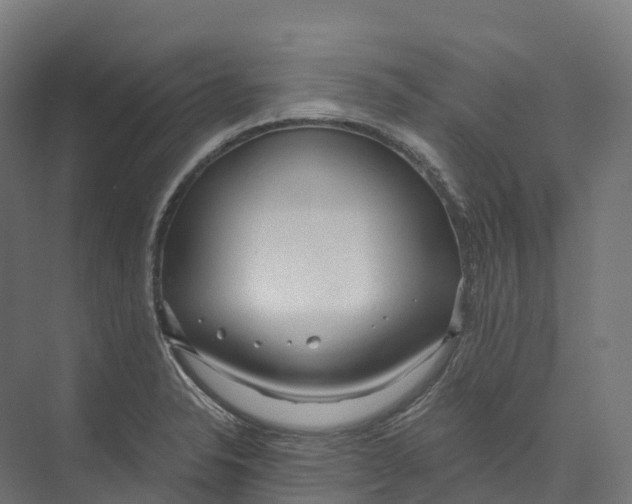 X0000073981326200609181706