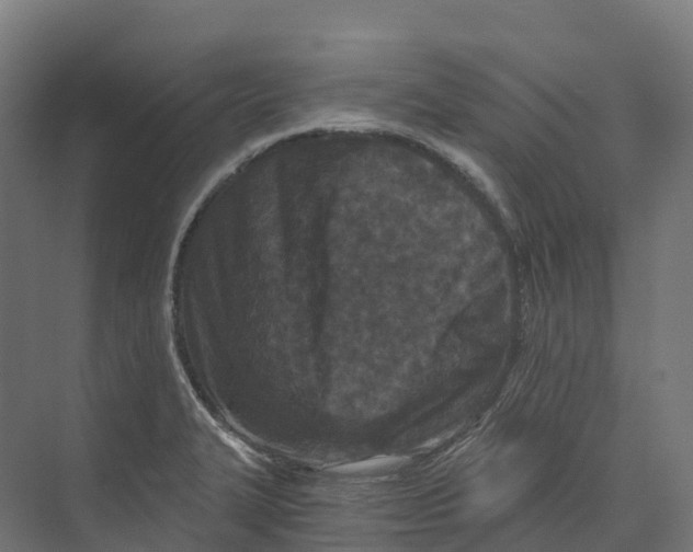 X0000073981327200609181706