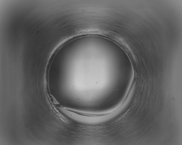 X0000073981328200609181706