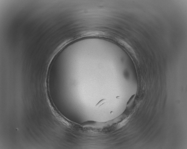 X0000073981330200609181706