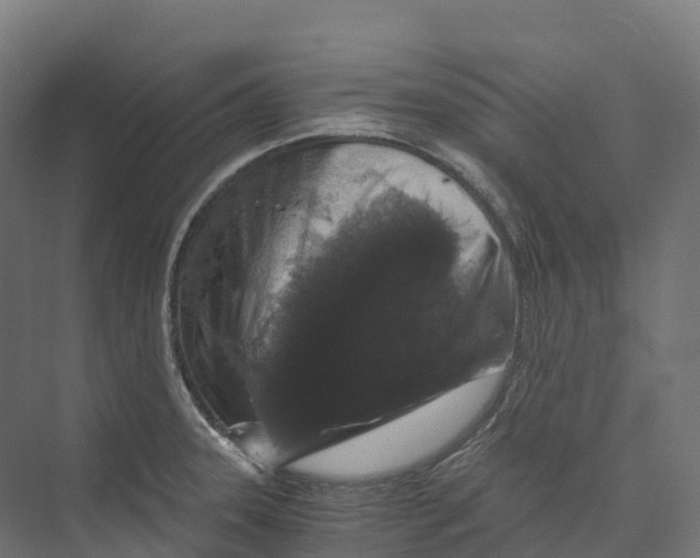 X0000073981331200609181706