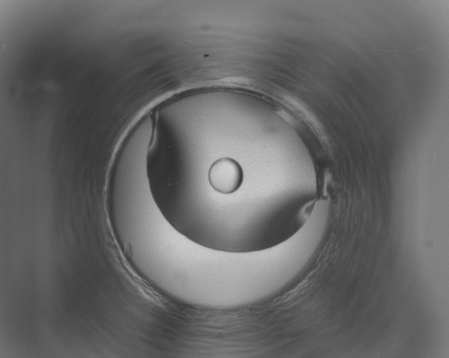 X0000073981332200609181706