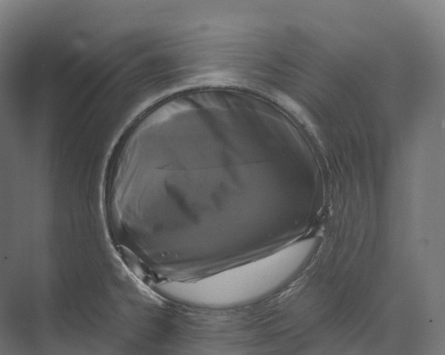 X0000073981334200609181706