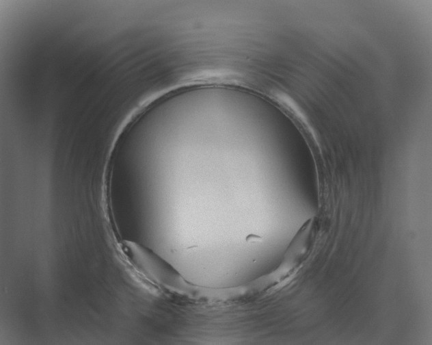 X0000073981336200609181706