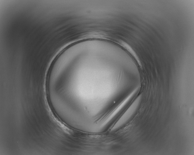 X0000073981339200609181706