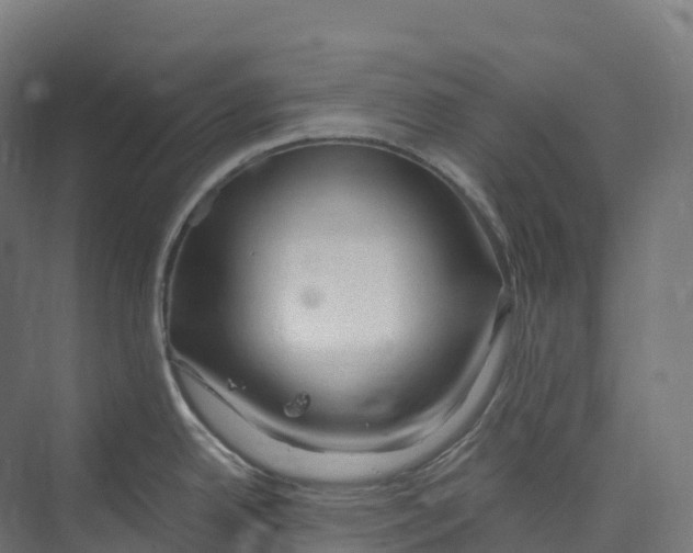 X0000073981342200609181706