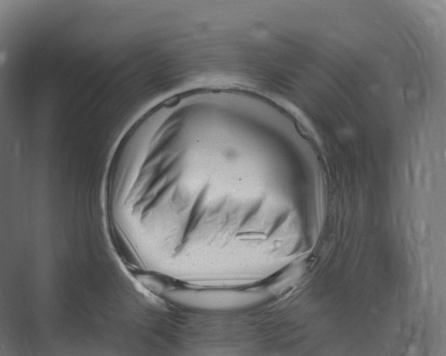 X0000073981343200609181706