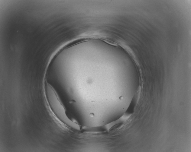 X0000073981344200609181707