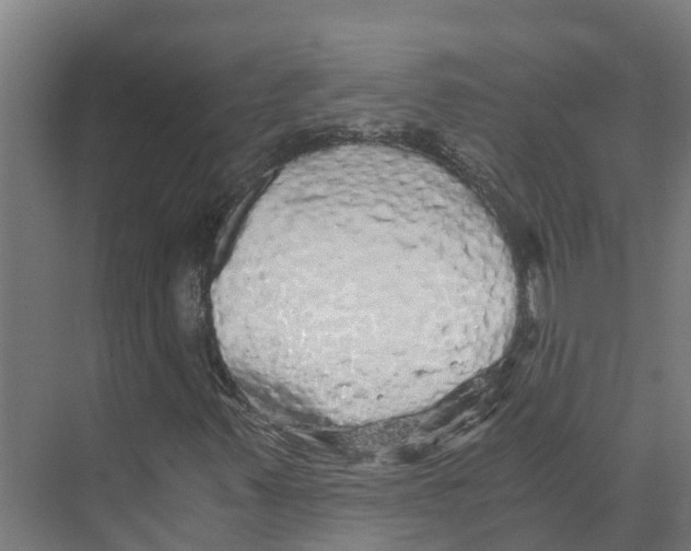 X0000073981347200609181706