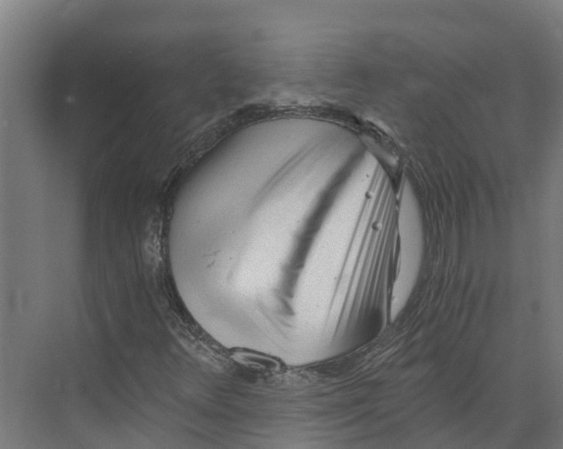 X0000073981348200609181706