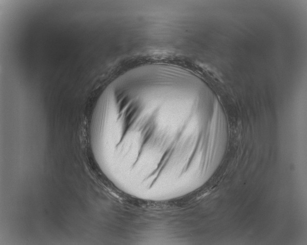 X0000073981349200609181706