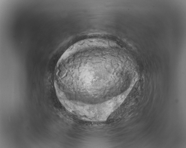 X0000073981351200609181706