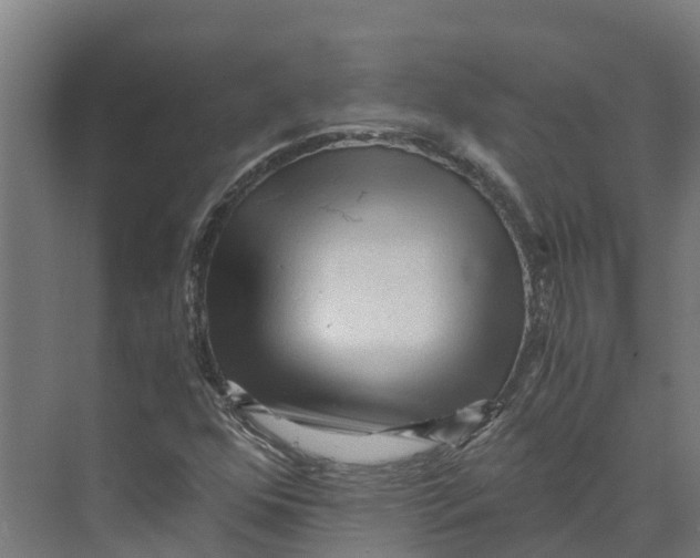 X0000073981352200609181706