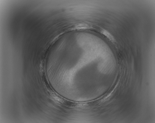 X0000073981353200609181706