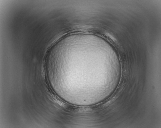 X0000073981354200609181706