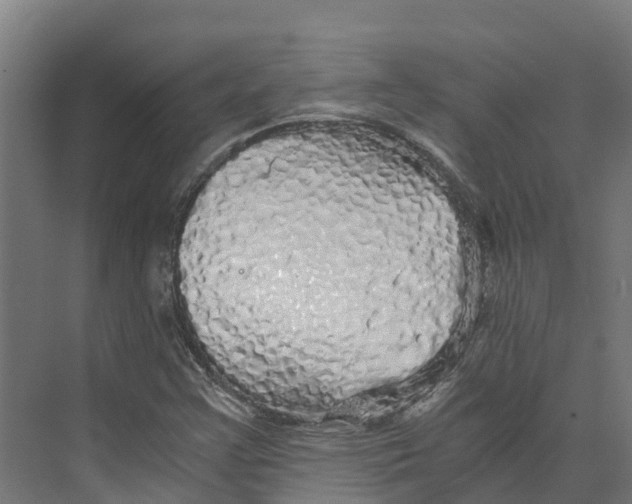 X0000073981355200609181706