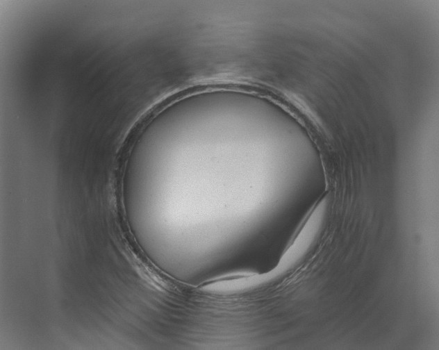 X0000073981356200609181706