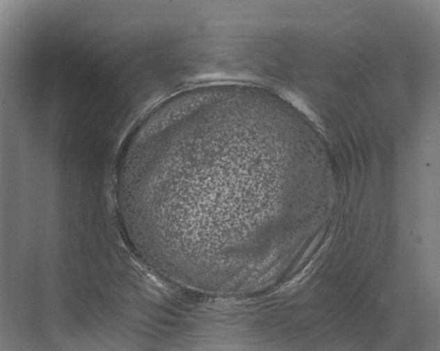 X0000073981357200609181706