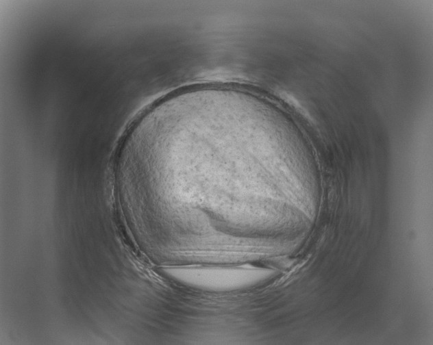 X0000073981358200609181705