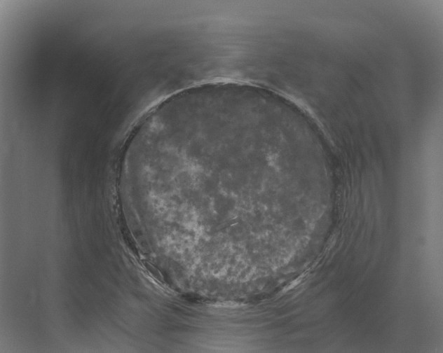 X0000073981359200609181705