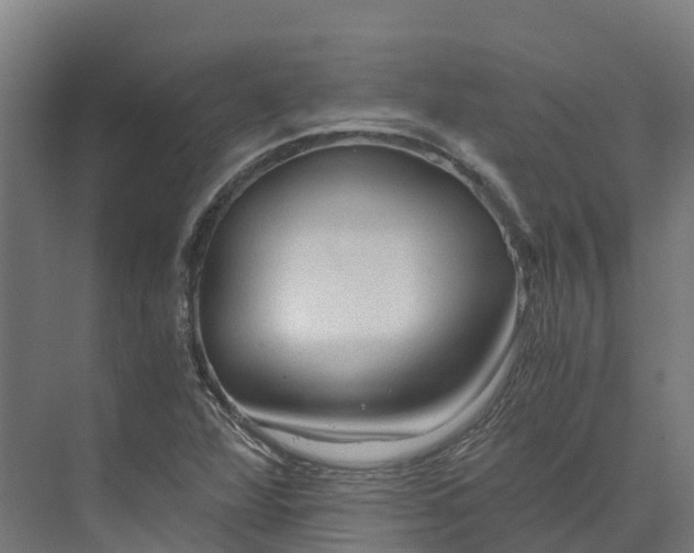 X0000073981360200609181705