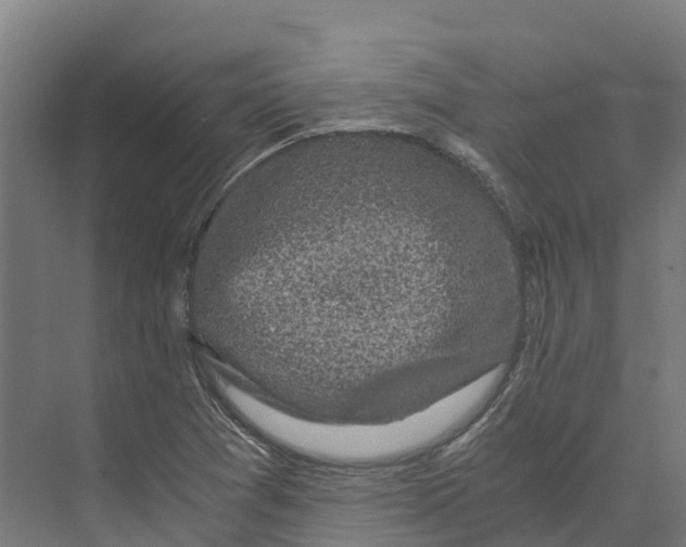 X0000073981361200609181705